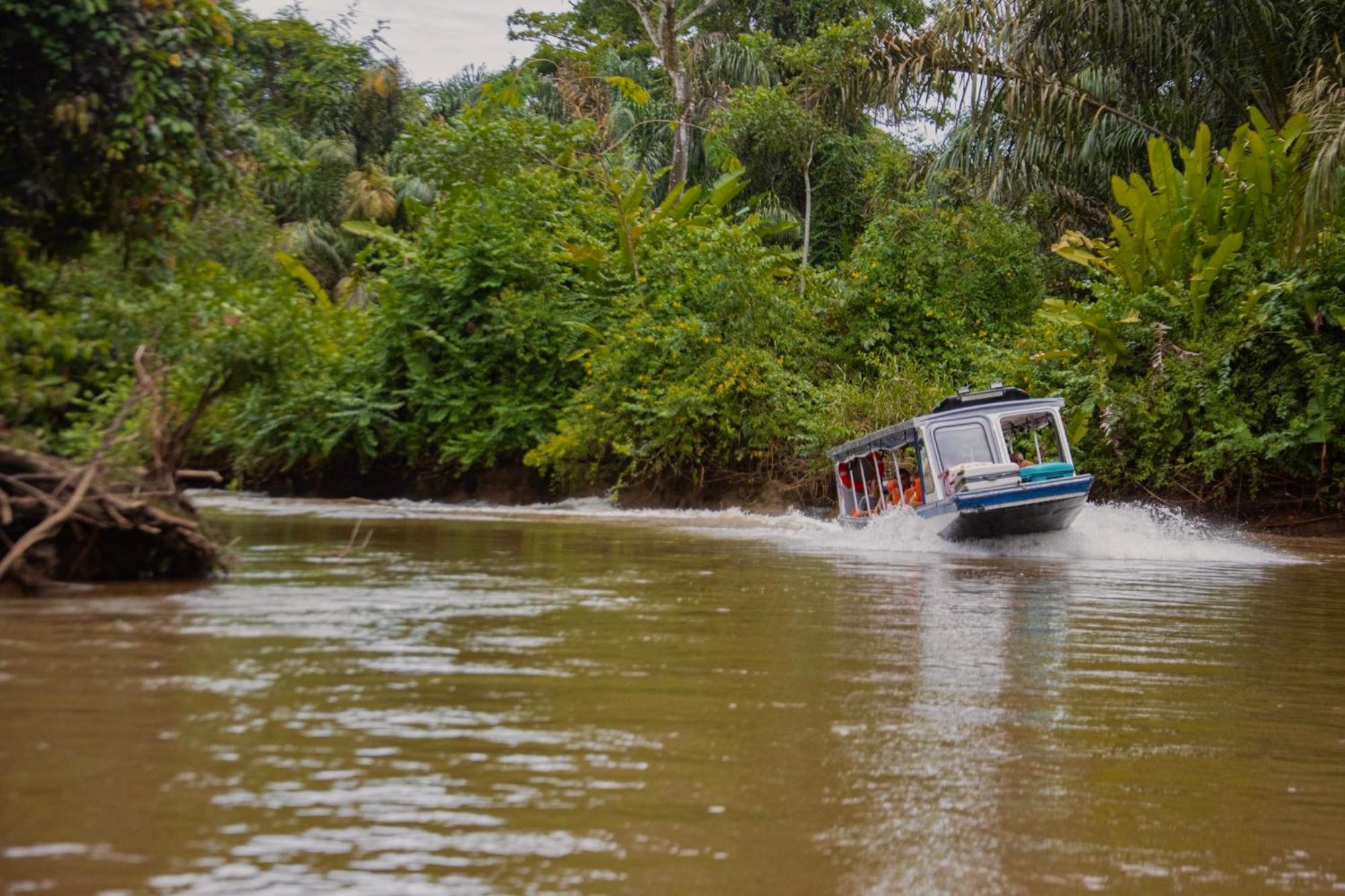 Carey Lodging Tortuguero Eksteriør bilde