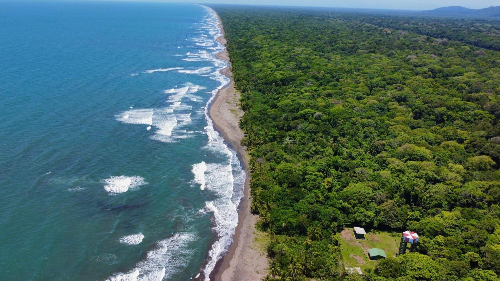Carey Lodging Tortuguero Eksteriør bilde