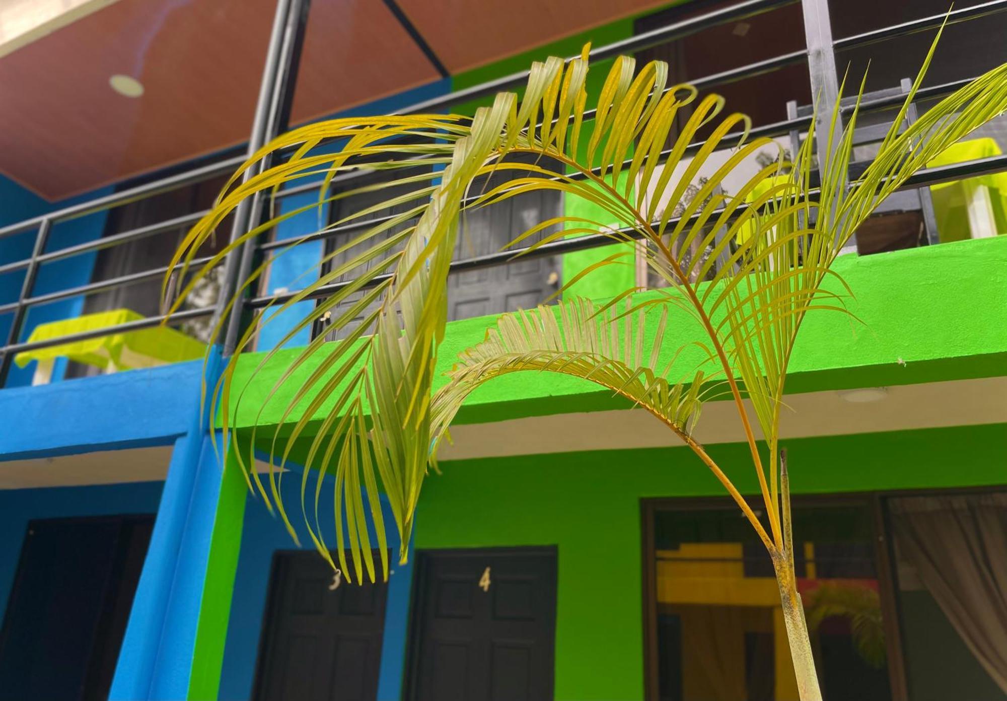 Carey Lodging Tortuguero Eksteriør bilde