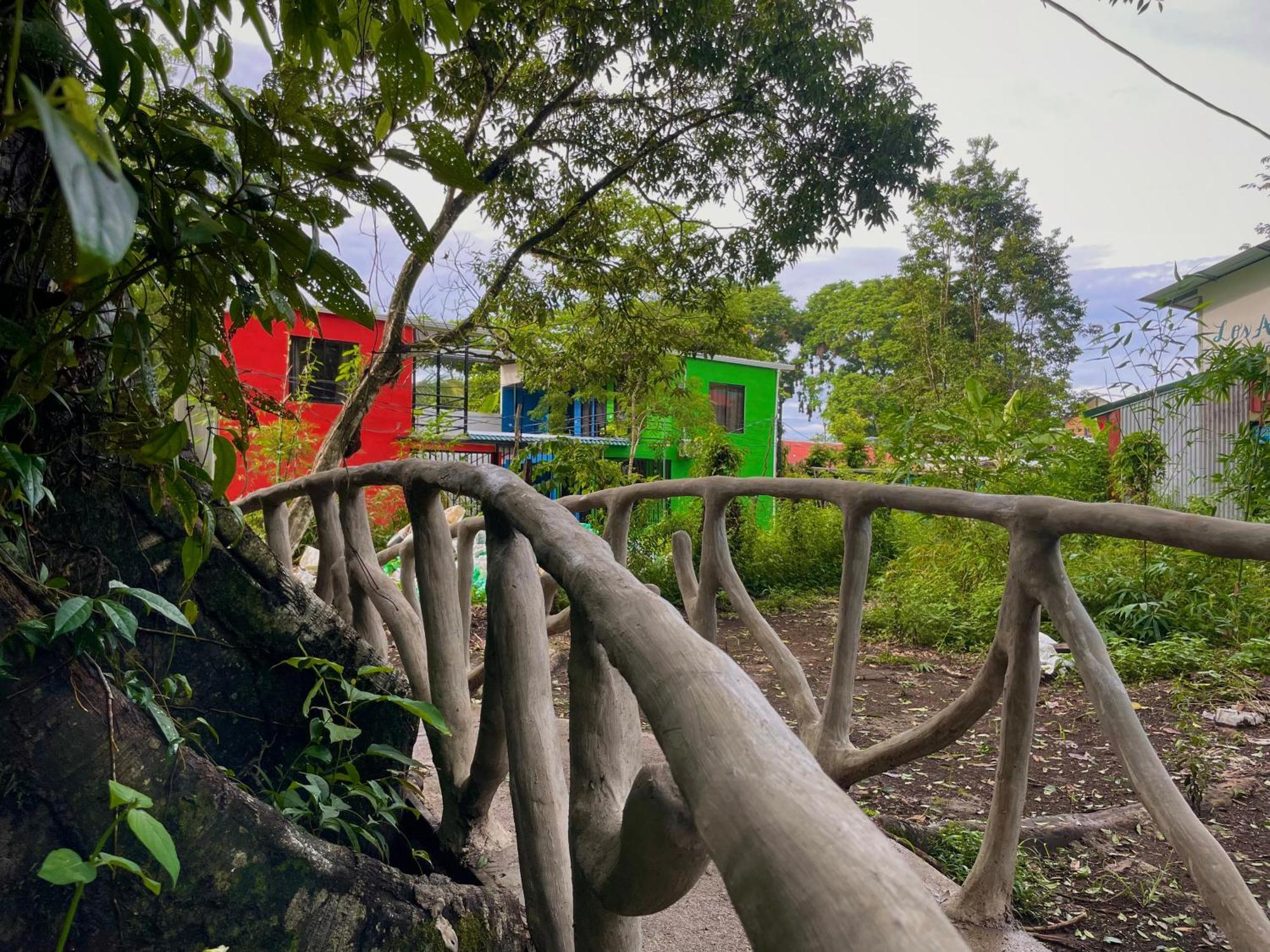 Carey Lodging Tortuguero Eksteriør bilde