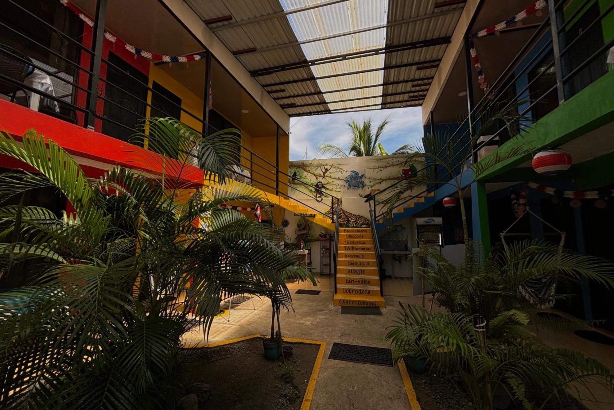 Carey Lodging Tortuguero Eksteriør bilde